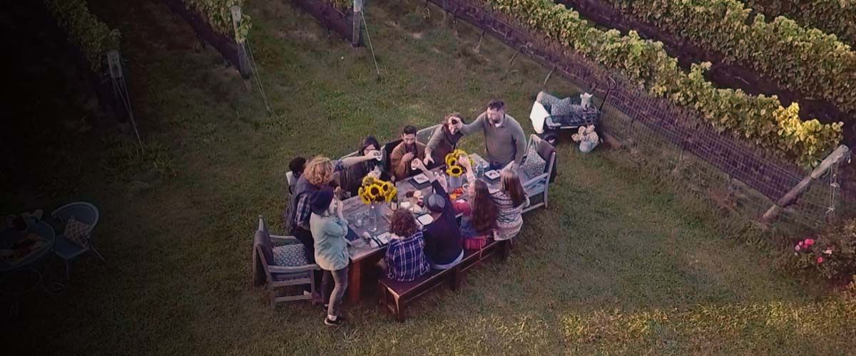 a group of people toasting before eating dinner at a vineyard outside surround by grapes on the vine