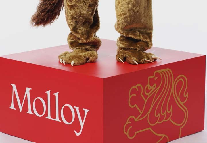the costumed lion feet of the Molloy College mascot standing on a red box