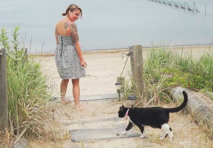 a woman leading her cat down to the beach